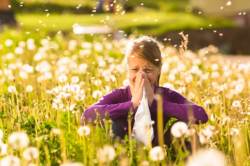 Young girl sneezing in field